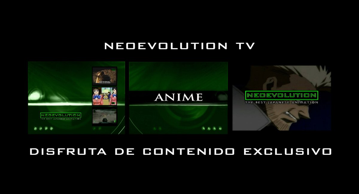 Slide 8